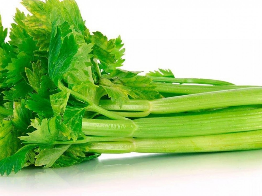 Os incríveis benefícios que o aipo pode te proporcionar