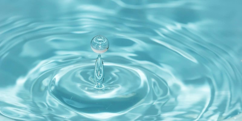 Dia Internacional da Água